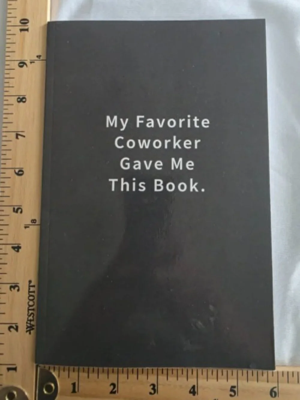 Lined Notebook My Favorite Coworker Gave Me This Book Blue Ridge Art Gift Office